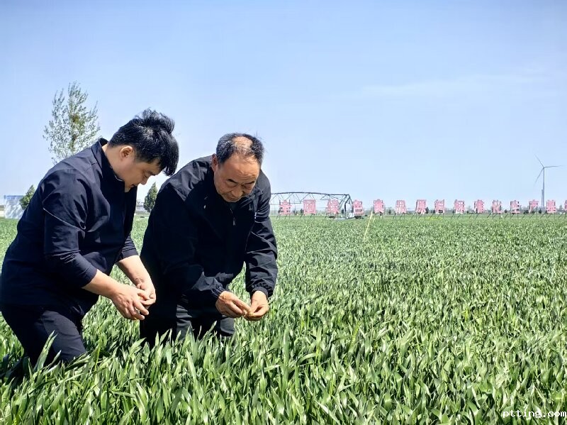 4dd35e461336dd2729b0fd007456239.jpg 4dd35e461336dd2729b0fd007456239.jpg